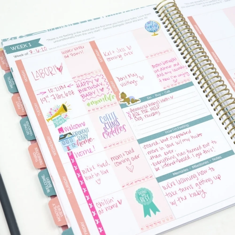 NWT Bloom Pregnancy & Baby's First Year Planner & Calendar, Planning for Joy